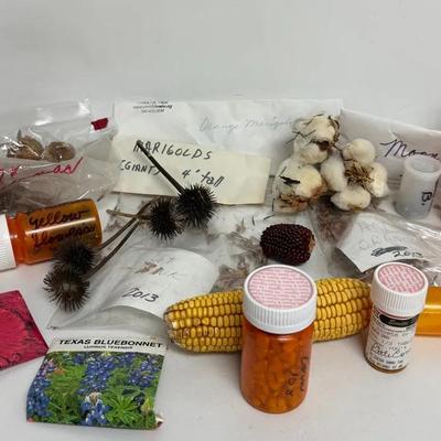 Flower and Veggie Seed Bundle 