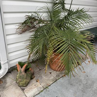 Sale Photo Thumbnail #69