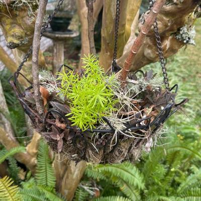 Sale Photo Thumbnail #61