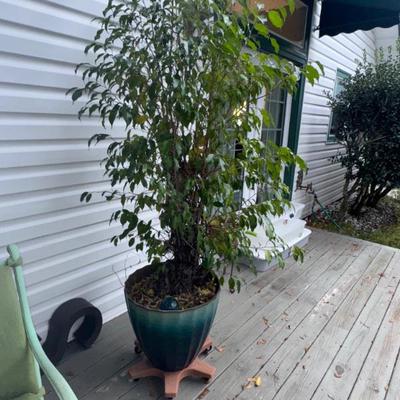 Sale Photo Thumbnail #79