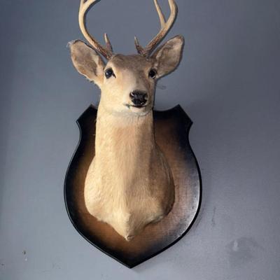 Sale Photo Thumbnail #16