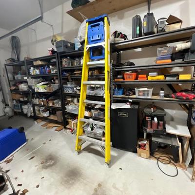 Werner ladder & tools