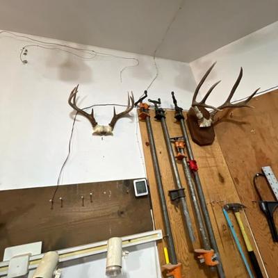 Antler racks