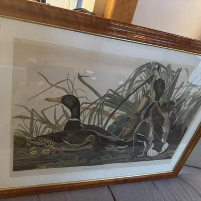 Sale Photo Thumbnail #20