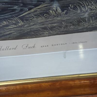 Sale Photo Thumbnail #21