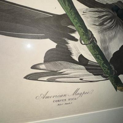 Sale Photo Thumbnail #19