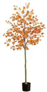 Sale Photo Thumbnail #6