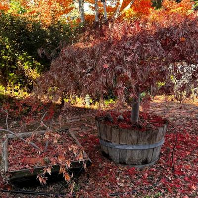 Sale Photo Thumbnail #554