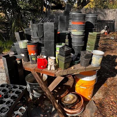 Sale Photo Thumbnail #543