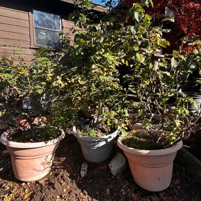 Sale Photo Thumbnail #542