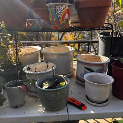 Sale Photo Thumbnail #490