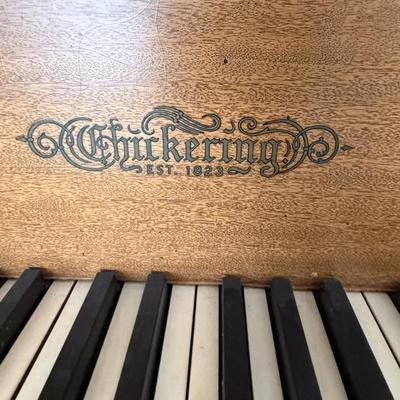 Sale Photo Thumbnail #102