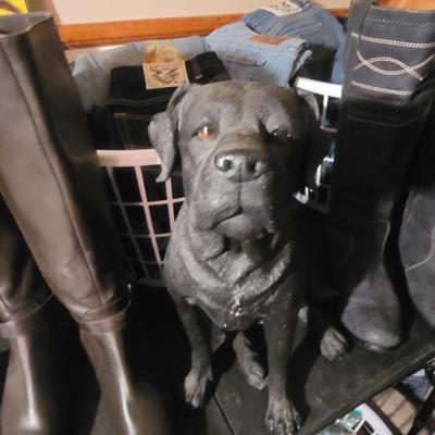 Sale Photo Thumbnail #304