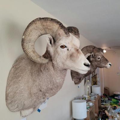 Sale Photo Thumbnail #24