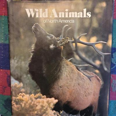 Sale Photo Thumbnail #31