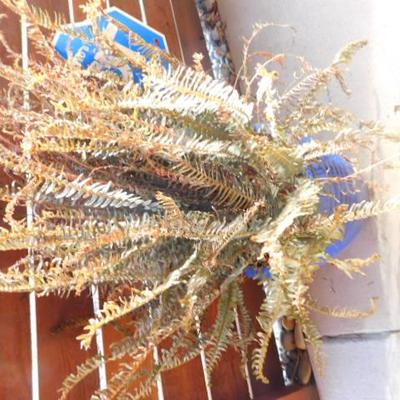 Sale Photo Thumbnail #149