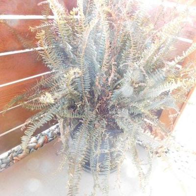 Sale Photo Thumbnail #151