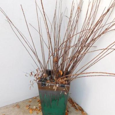 Sale Photo Thumbnail #60