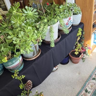 Sale Photo Thumbnail #21