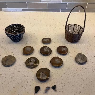 Fossils and Finery: Ancient Treasures Display