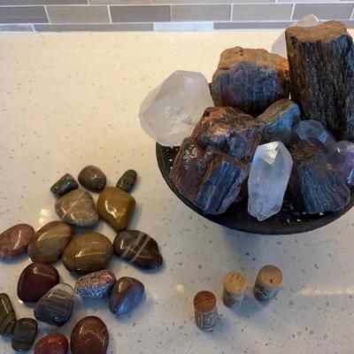 Petrified Wood and Quartz Mineral Display