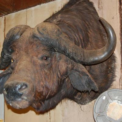 Sale Photo Thumbnail #55