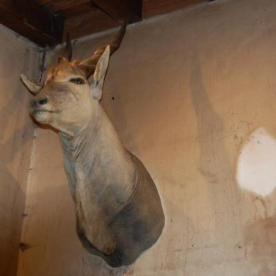 Sale Photo Thumbnail #57