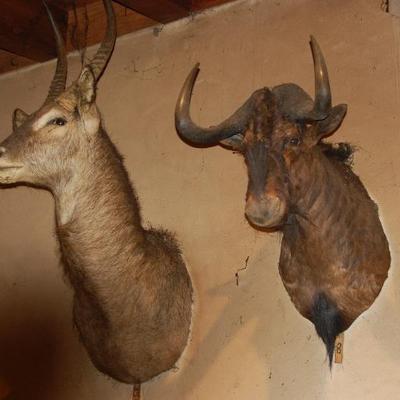 Sale Photo Thumbnail #56