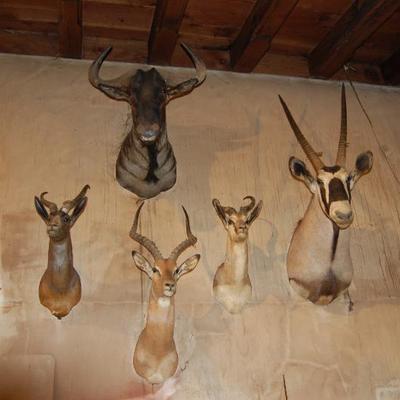 Sale Photo Thumbnail #175