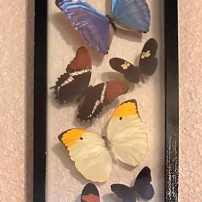 Sale Photo Thumbnail #157