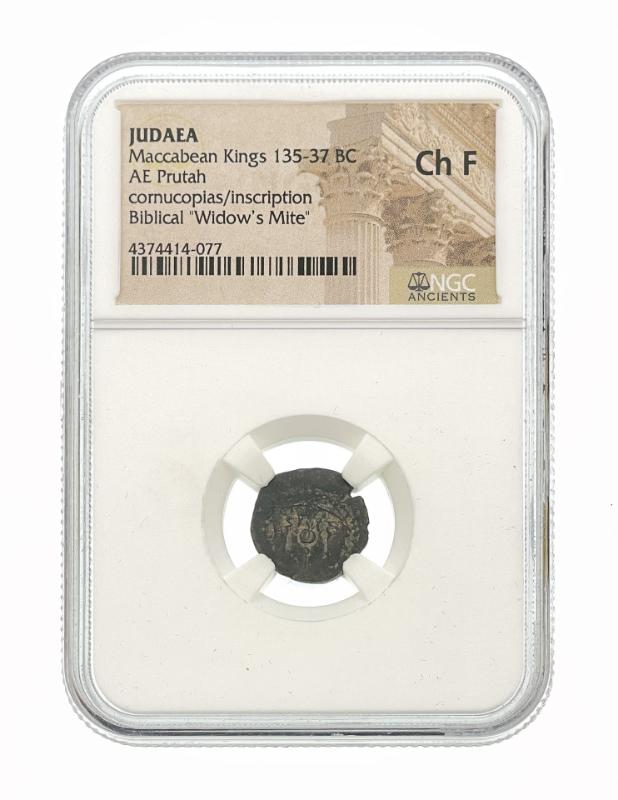 Sale Photo Thumbnail #73