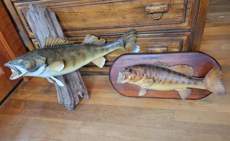 Sale Photo Thumbnail #302