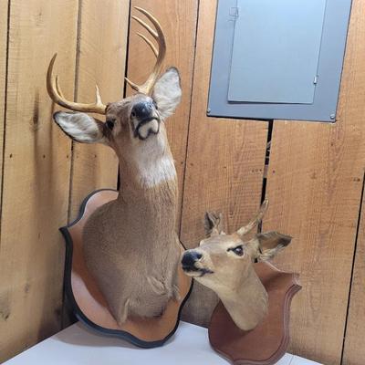 Sale Photo Thumbnail #231