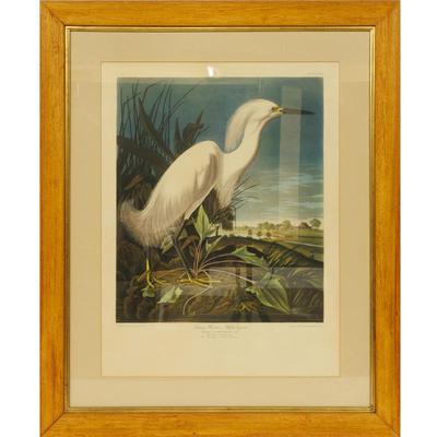 Sale Photo Thumbnail #160: Audobon