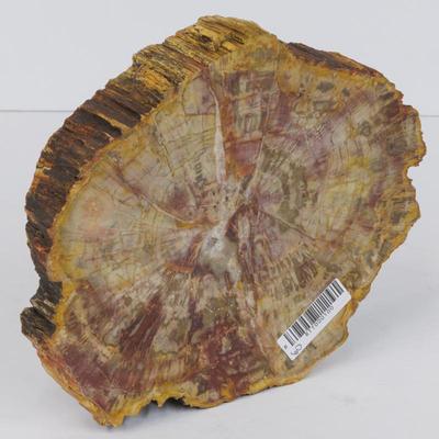 Sale Photo Thumbnail #119