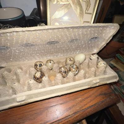 Sale Photo Thumbnail #77