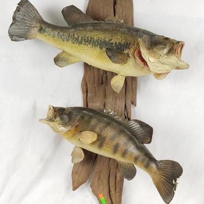 Sale Photo Thumbnail #125