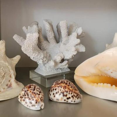 CONCH AND COWRIE SHELLS WITH A CORAL SCULPTURE 