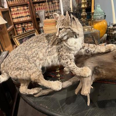 Sale Photo Thumbnail #28