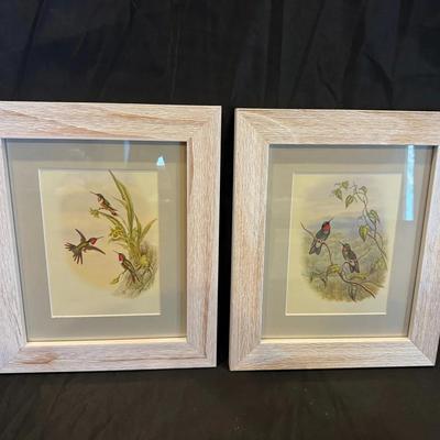 216: Pair Of Hummingbird Prints 