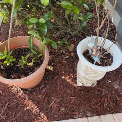 Sale Photo Thumbnail #3