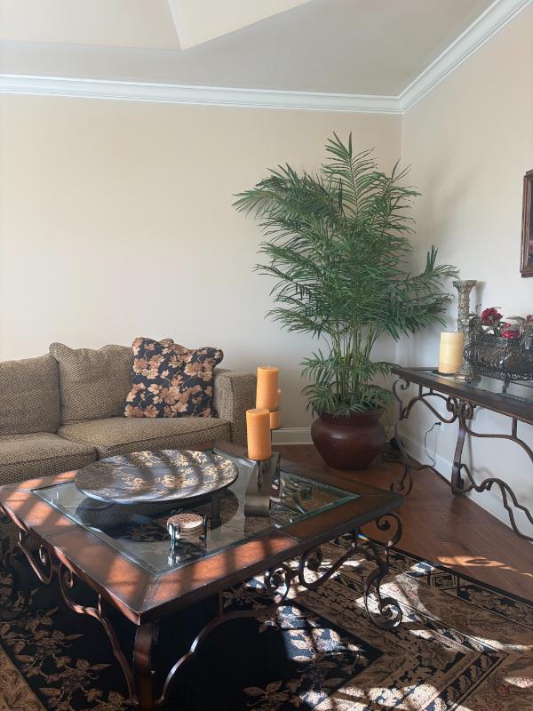 Sale Photo Thumbnail #260