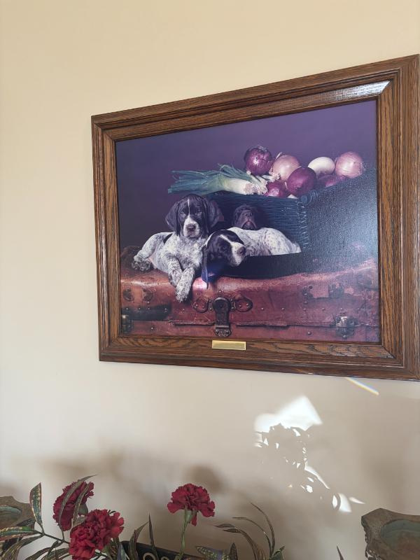 Sale Photo Thumbnail #267