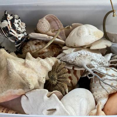 Sale Photo Thumbnail #9