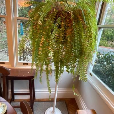 Sale Photo Thumbnail #155