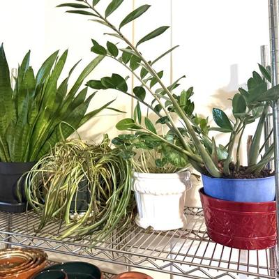 Sale Photo Thumbnail #10