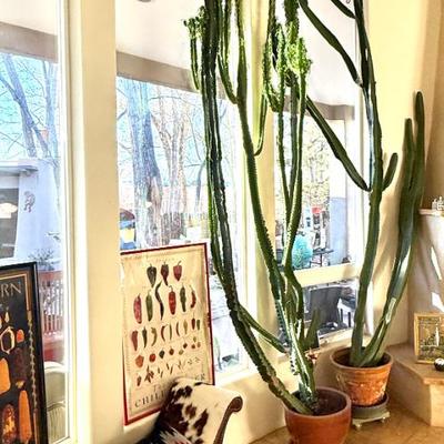 Sale Photo Thumbnail #81