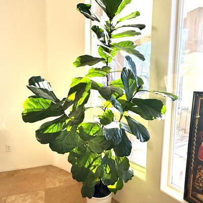 Sale Photo Thumbnail #82