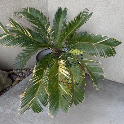 Sale Photo Thumbnail #51