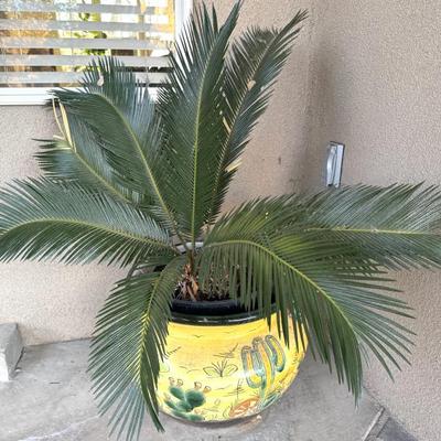 Sale Photo Thumbnail #52